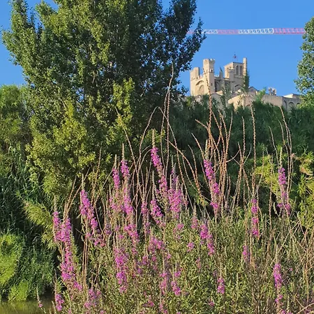 Art Lovers Third Floor Apartment Beziers